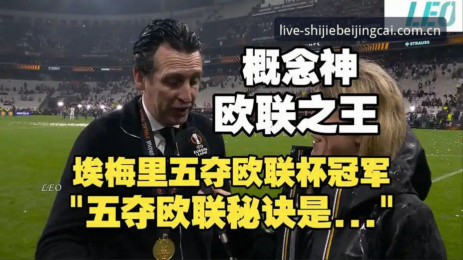 世界杯竞猜软件官网对比 揭秘阿斯顿维拉30年冠军荒终结背后的真相:埃梅里的欧联杯神话